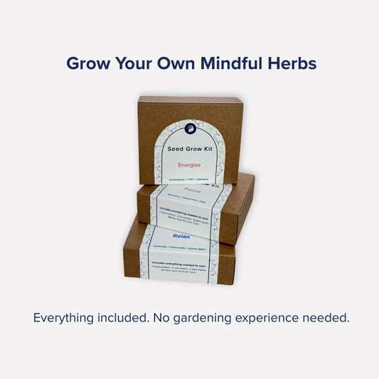Mindful Seed Grow Kit