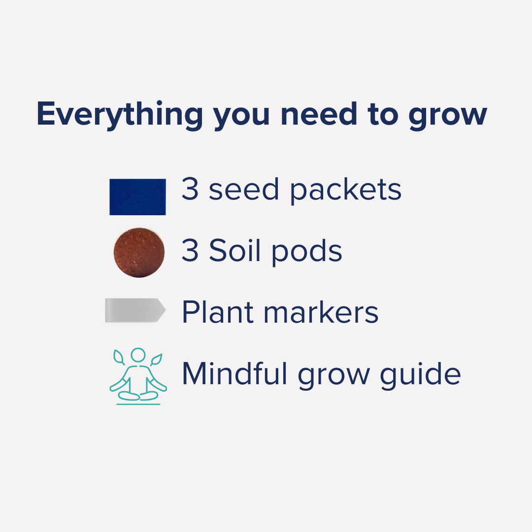 Mindful Seed Grow Kit