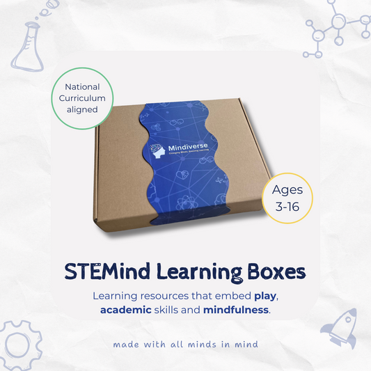 STEMind Box